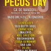 PECOS_Day_2013